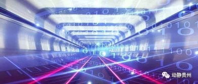 贵州获批建设贵阳-贵安国际互联网数据专用通道，互联网数据服务迎来新机遇